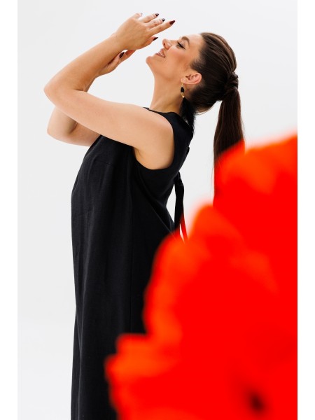 1472 черный лебедь