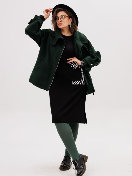 1427.1 сны зебры