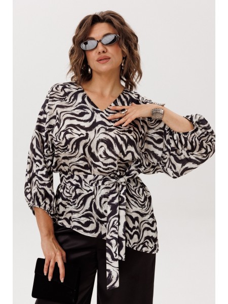 1665 загадка линий